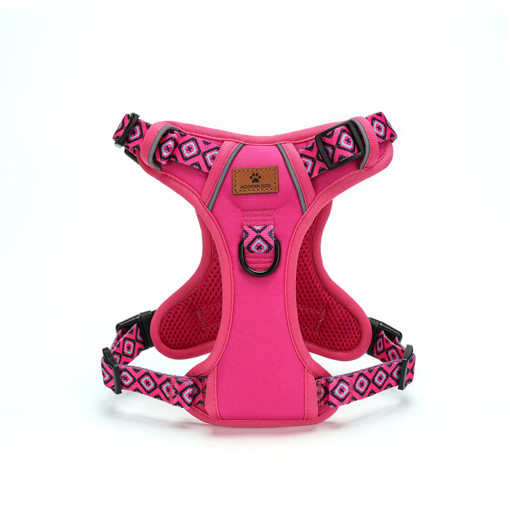 Set  Rebel Rose tuigje met riem