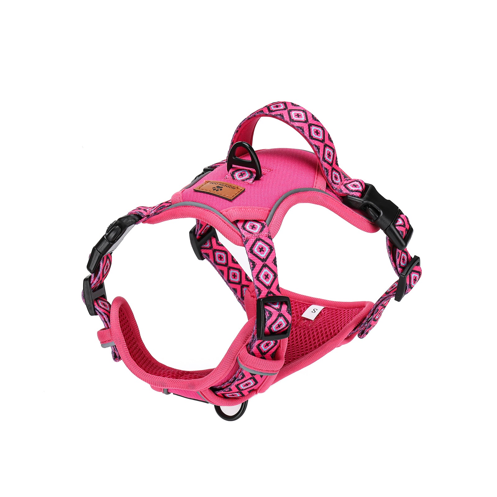 Set  Rebel Rose tuigje met riem