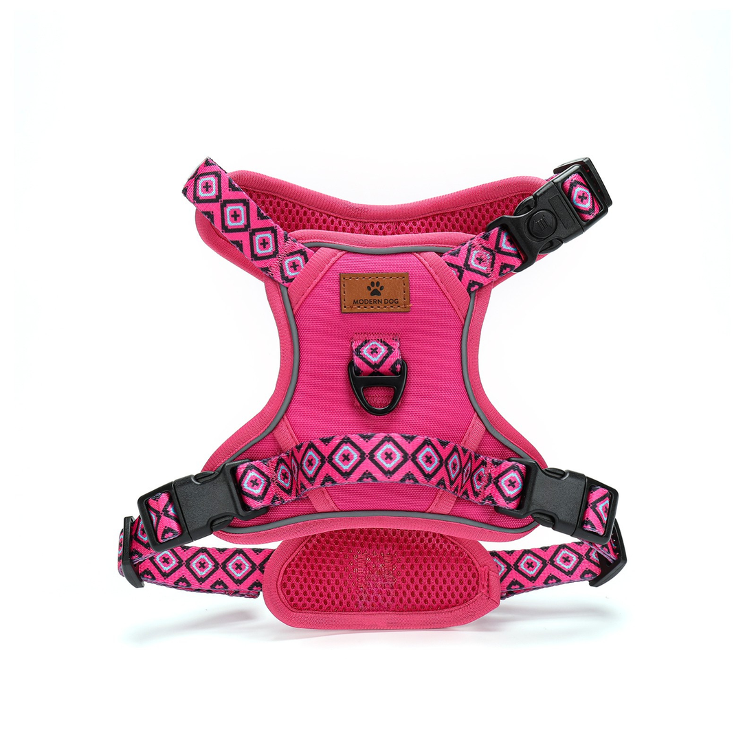 Set  Rebel Rose tuigje met riem