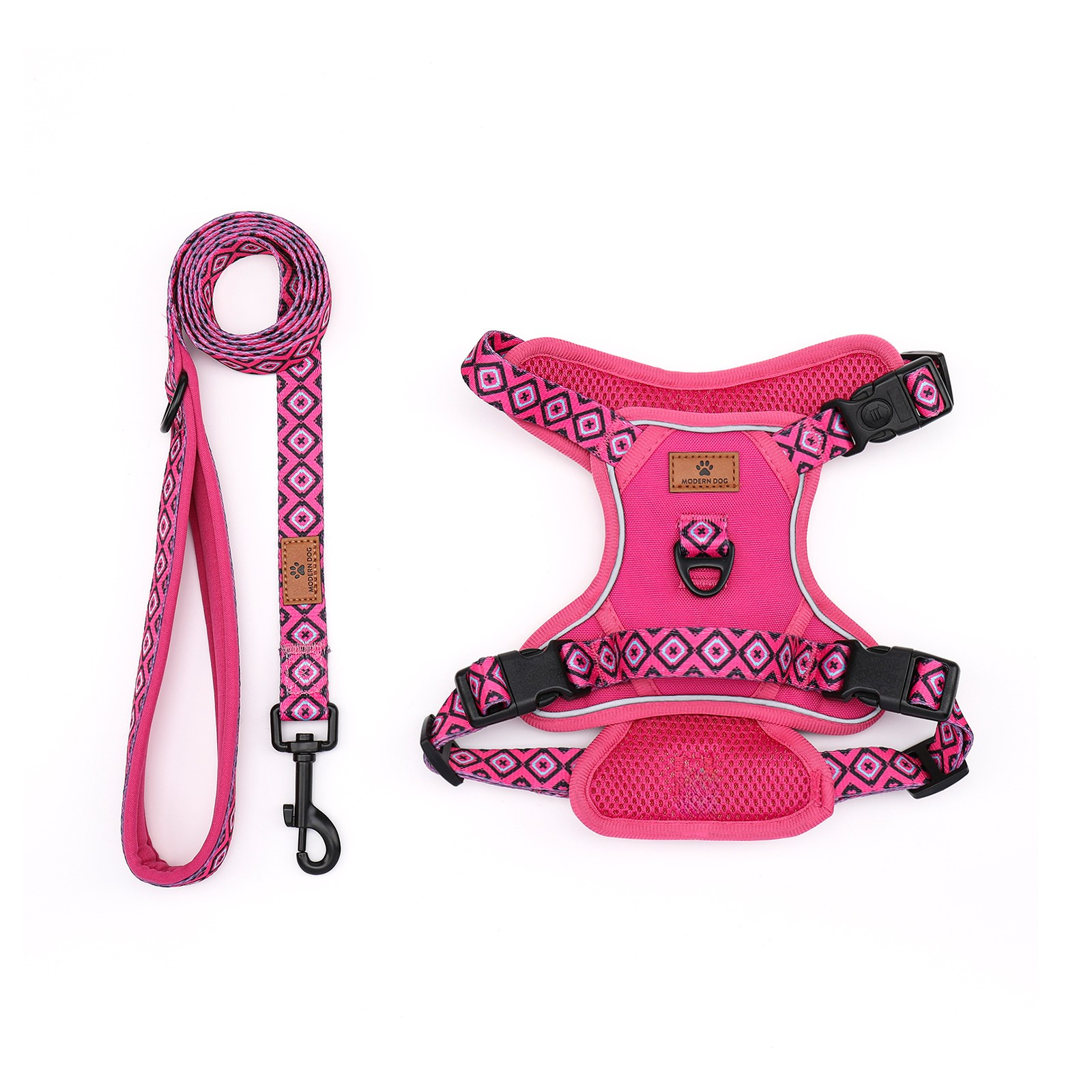 Set  Rebel Rose tuigje met riem