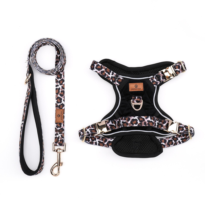 Set  Leopard Diamond tuigje met riem