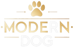 Modern Dog