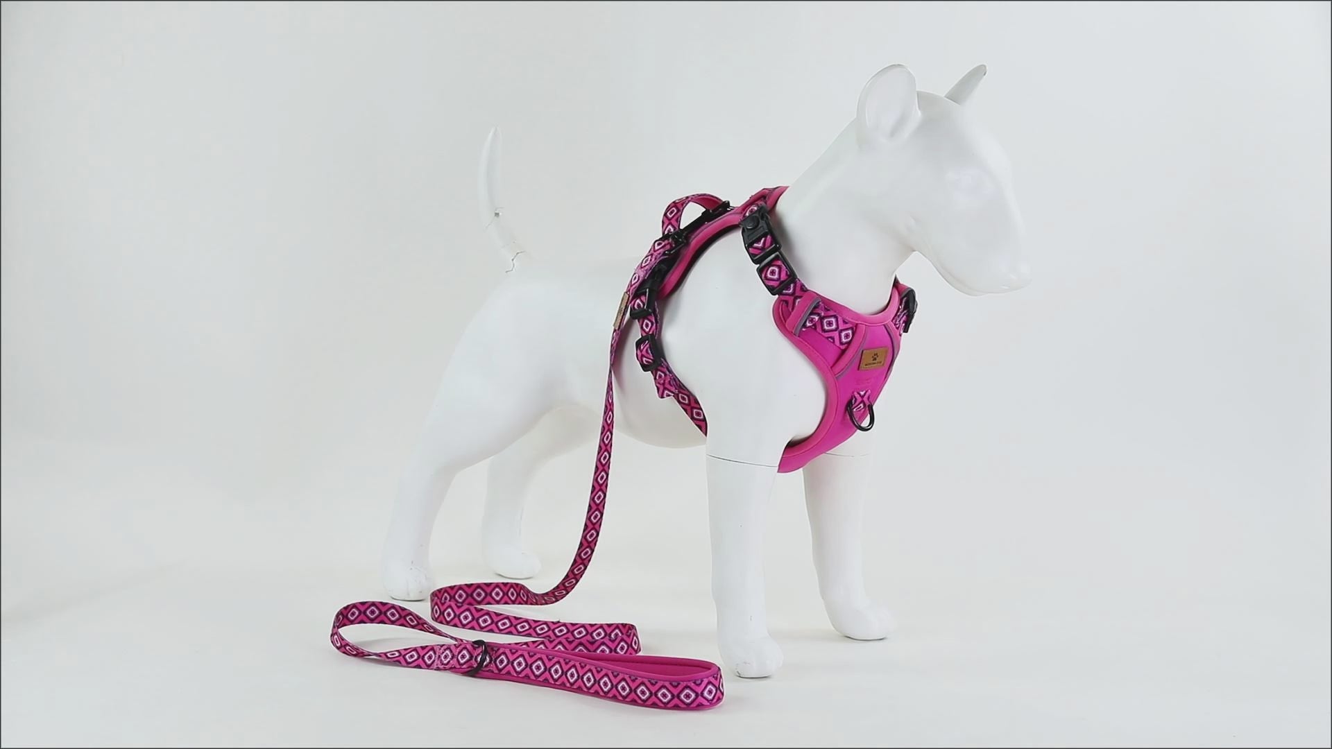 Set  Rebel Rose tuigje met riem